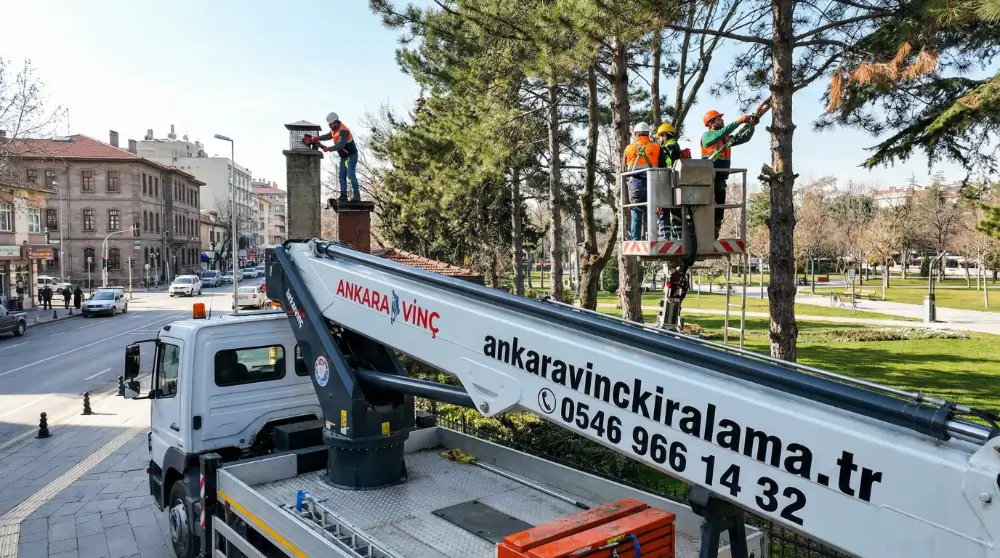 Sepetli Vinç Kiralama Belediye Peyzaj Ağaç Budama